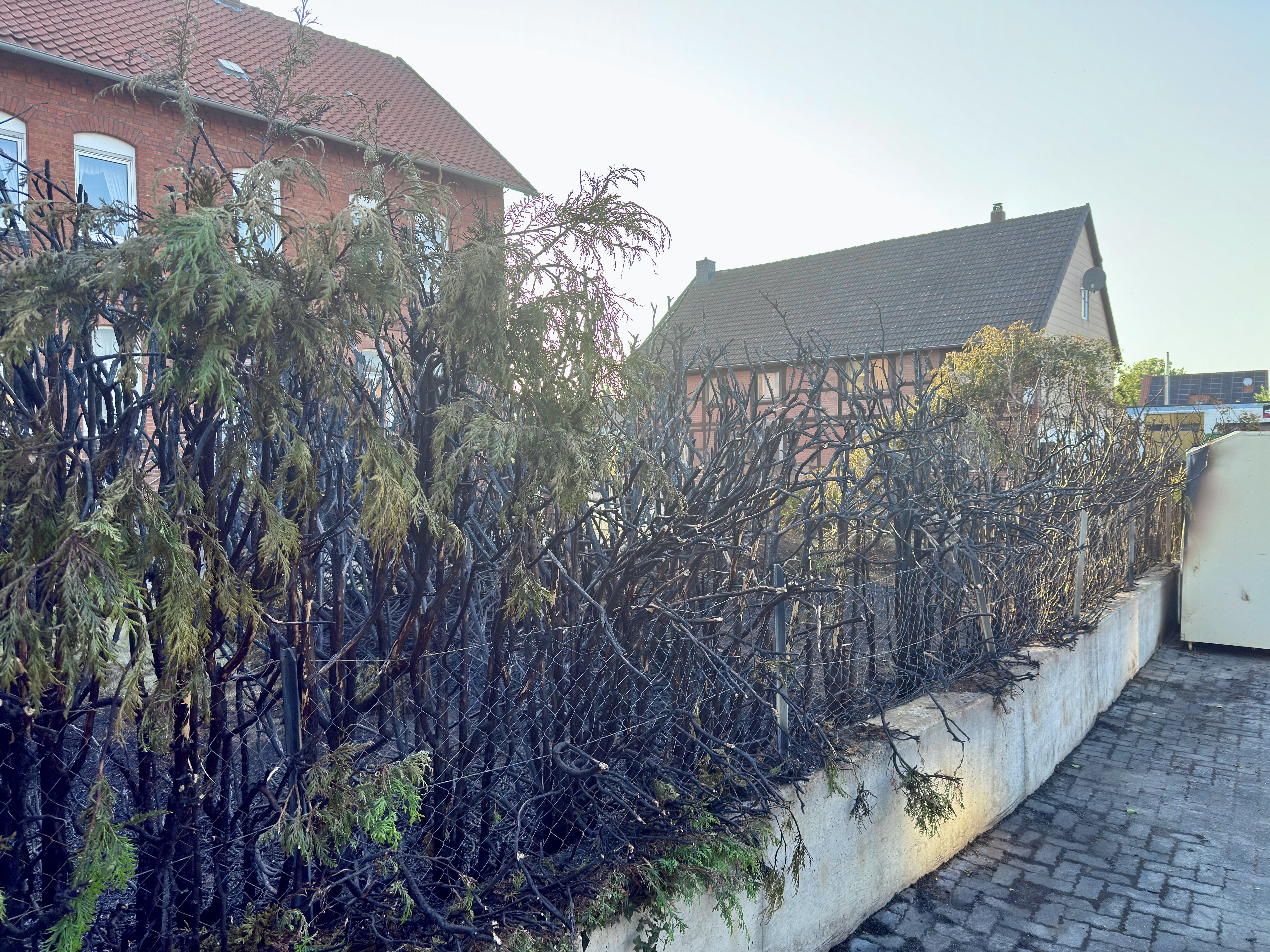 Einsatz Nr. 25 – B1 Hecke