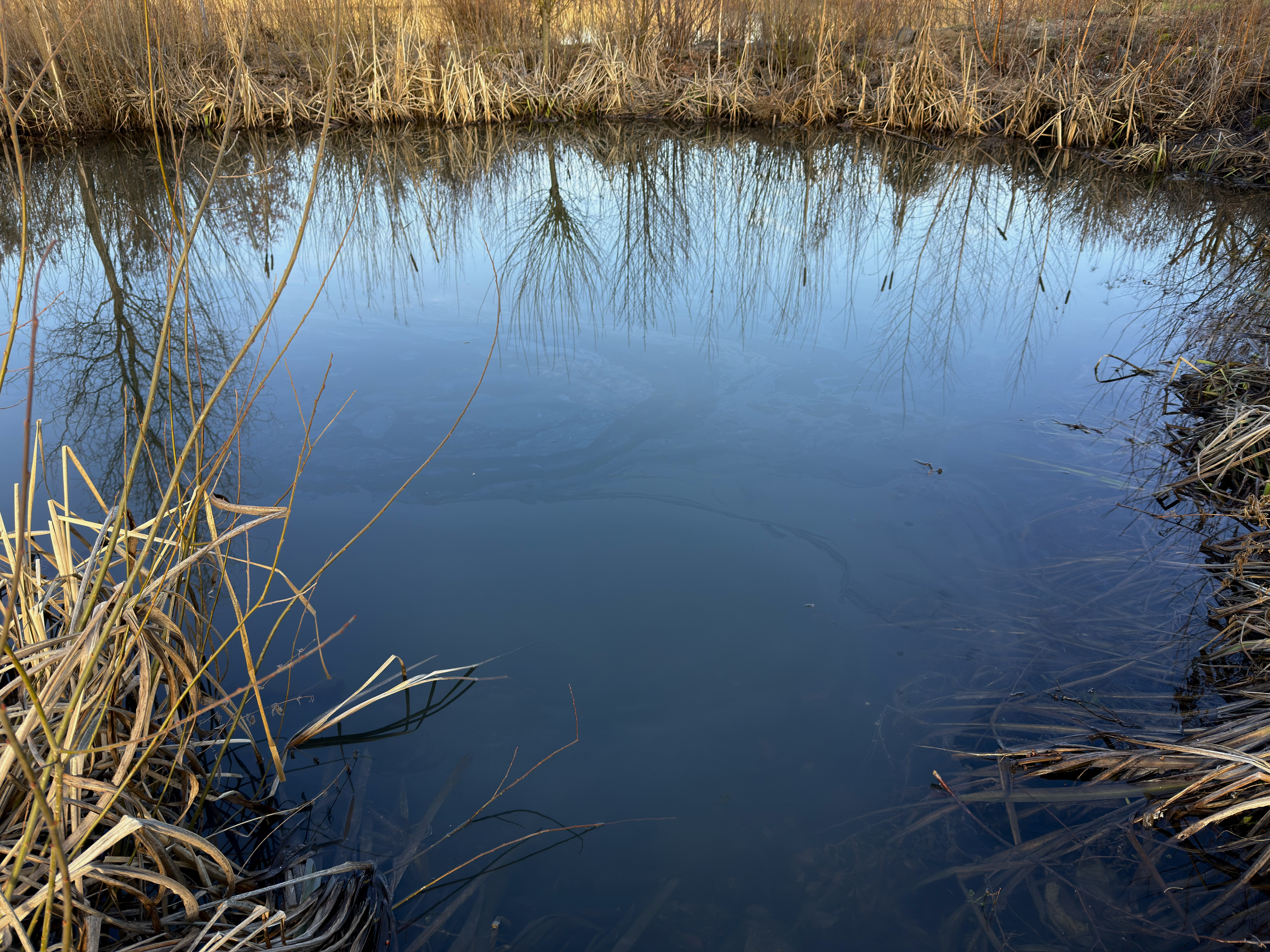 Einsatz Nr. 18 -H1 ÖL W Gewässer